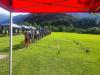 Klicken zum ansehen img_20250720_174034_t1.jpg