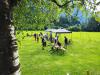 Klicken zum ansehen img_20250720_181437_t1.jpg