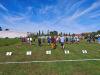 img_20260919_143213_t1.jpg
