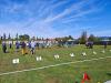 img_20260919_143214_t1.jpg